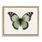 Stupell Industries Green Symmetrical Butterfly Framed Floater Canvas Wall Art Design by Elizabeth Medley